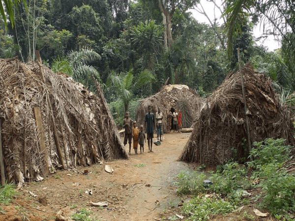 Parc National du Dja